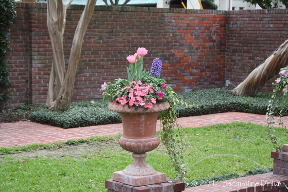Easy To Create Container Gardens For Houston Summers
