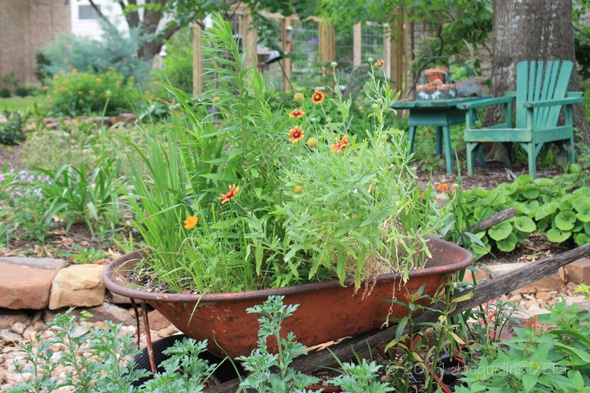Tips for Container Gardening in Houston