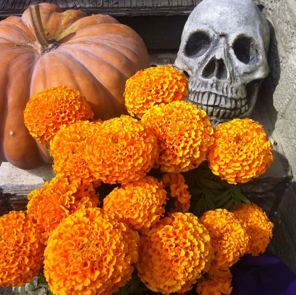 dia de los muertos altar flowers