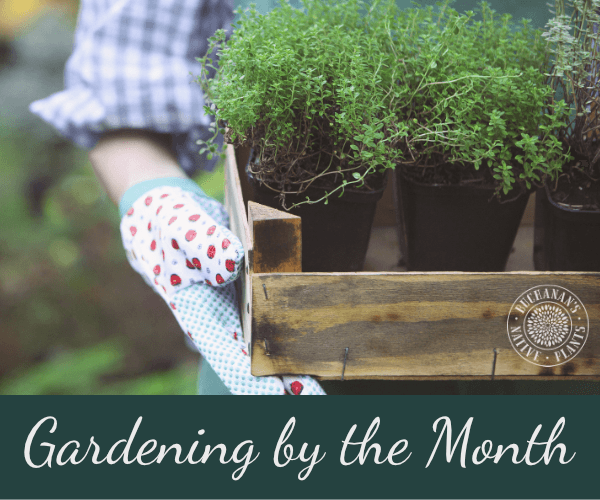 Gardening To Do Lists By Month For Houston