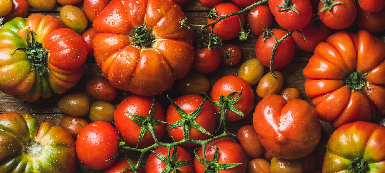 Colorful tomatoes of different sizes and kinds
