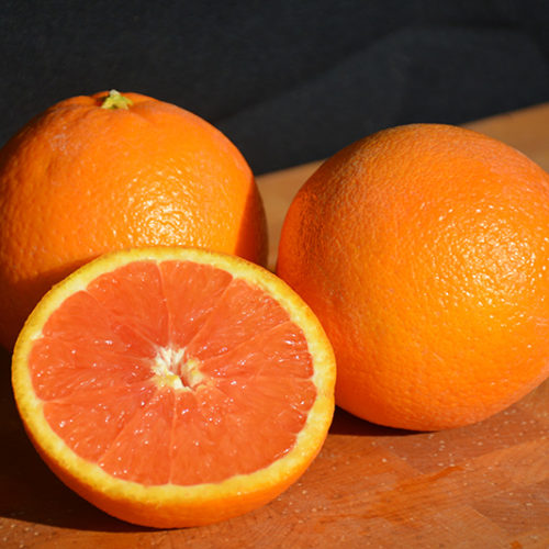 Cara Cara Navel Orange | Citrus sinensis 'Cara Cara'