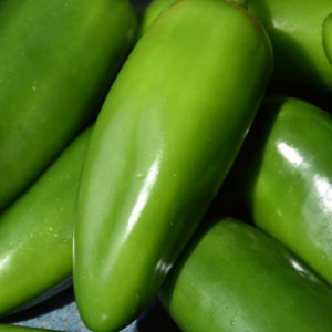 Jalapeno Pepper | Capsicum annuum 'Jalapeno'