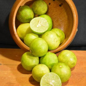 Key Lime | Citrus aurantifolia