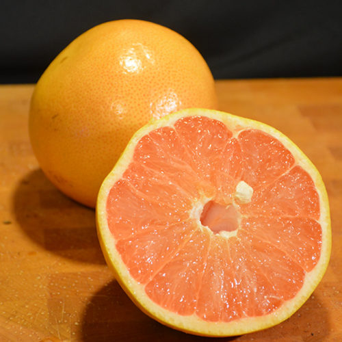 Ruby Red Grapefruit | Citrus x paradisi 'Ruby Red'