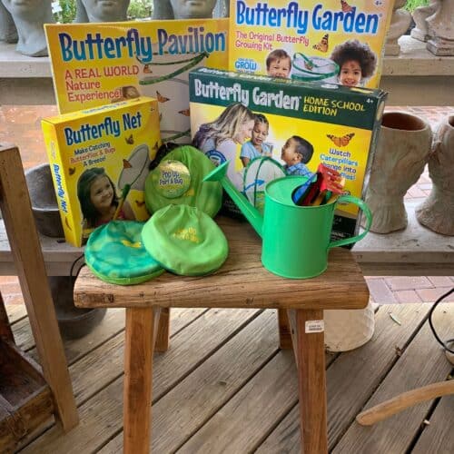 Butterfly Garden Kits for children