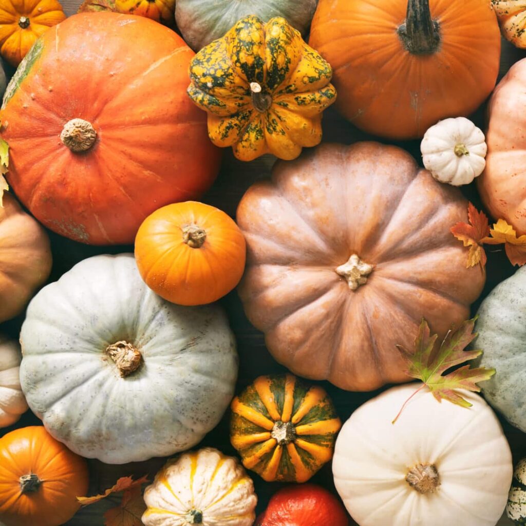 Pumpkin background