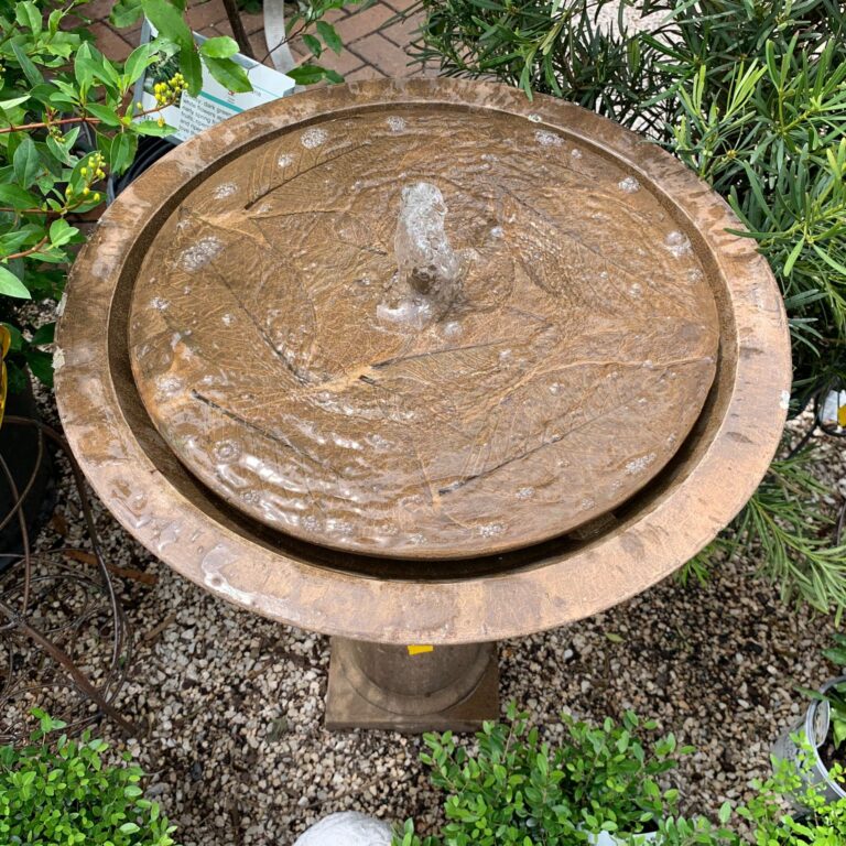 Fountains Buchanan's Native Plants