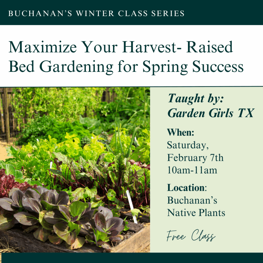 Raised Bed Gardening for Spring Success