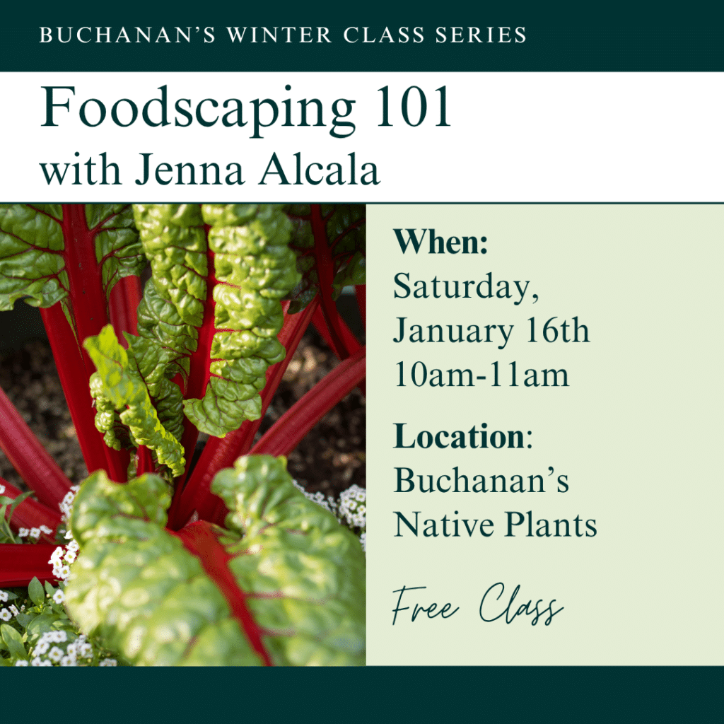 Foodscaping 101 Class
