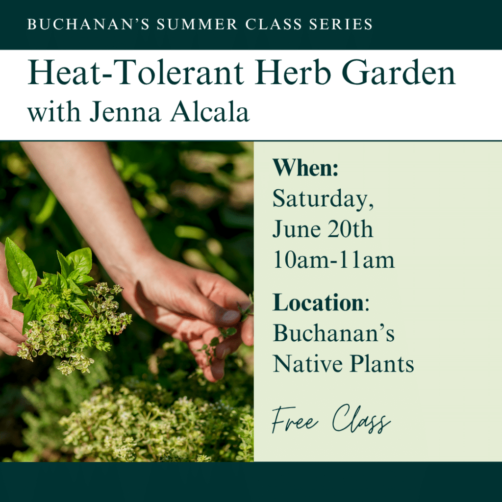 Heat-Tolerant Herb Garden