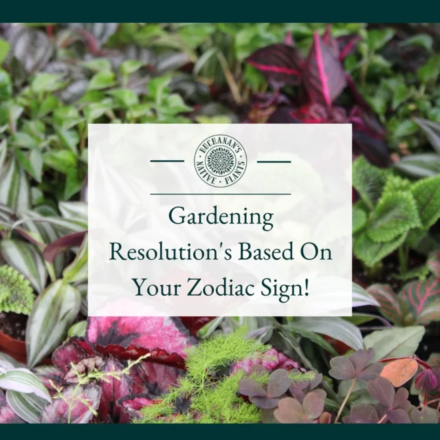 Swipe to see your Zodiac sign gardening resolution for the new year!>>>>>✨