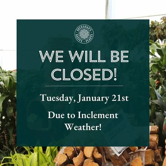 👉Just a heads up!! We will be closed Tuesday, January 21st due to inclement weather! We will post any further updates as the days continue.

Don’t worry though we will be open today and Monday to answer any frost related questions and to help you be able to protect your plants! ❄️