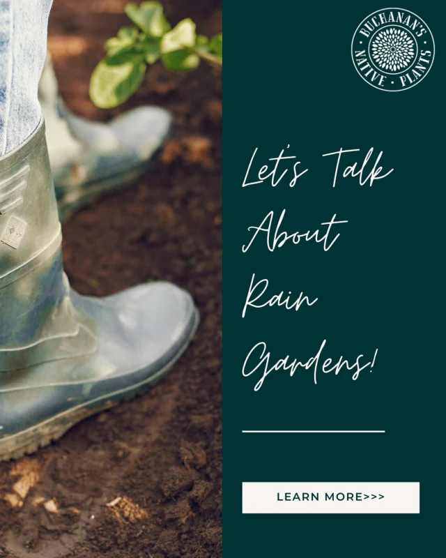 Why not take advantage of the April showers and make the most of them?🌧️☔️🌈