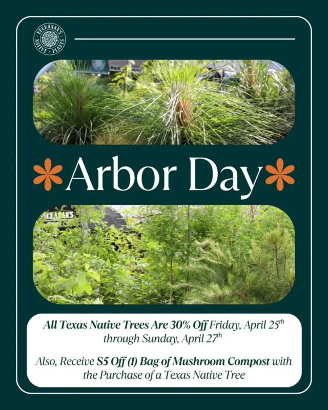 Happy Arbor Day! Are you thinking about planting a tree to celebrate? Well, why not make it a Texas native tree that will thrive! Hurry in this weekend to shop our selection of native trees which will be 30% off today through Sunday, April 27th!🌳