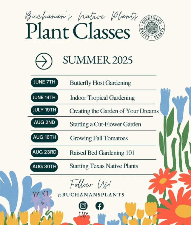 Wanting to “GROW” your plant knowledge this summer?🌿

Save this calendar of upcoming summer plant classes and share with a friend!👉