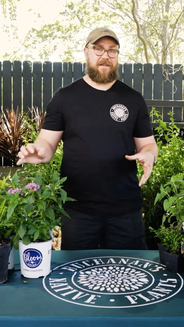 Starting a pollinator garden this season, but you are not sure where to start? Check out our video where Zach shares some of our favorite pollinator-friendly plants that are great for beginners!🐝🐛

Happy Planting!🌿