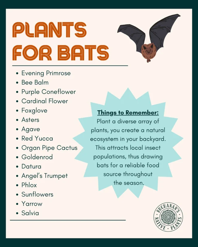 Nighttime Garden Heroes!🦇

Bats are amazing creatures that are vital to the health of our natural world and ecosystem.

Installing a bat house near your home is a great way to provide a habitat for certain bat species such as the Big Brown Bat and the Little Brown Bat.

#batsarepollinatorstoo