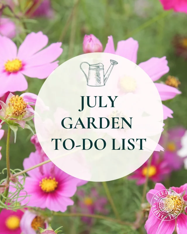 Here’s what to do this month in your garden!🪏