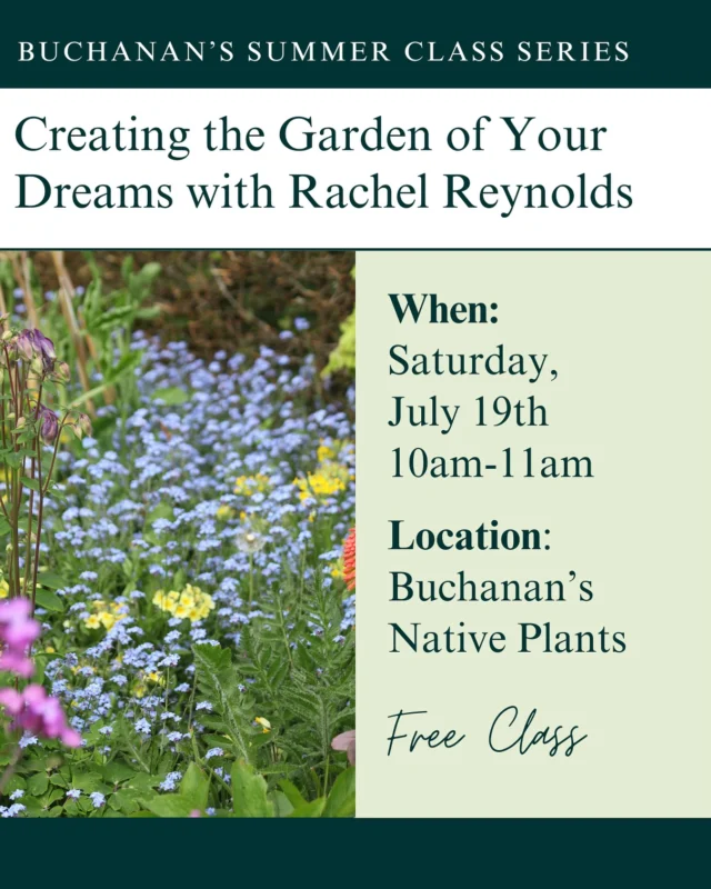 Join us for a class on Saturday morning, where Rachel from Rachel Reynolds Dreamscapes will show you how to create the garden of your dreams! She’ll share design advice, plant selection, and more.☀️✨

FREE CLASS