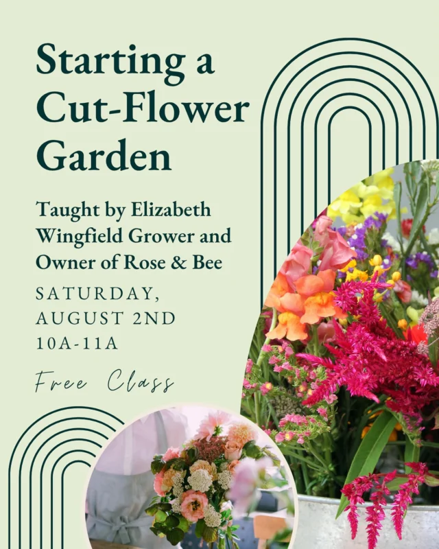 Wanting to start a cut-flower garden this season? Join us to learn everything you need to know to start a cut-flower garden successfully. In this class, Elizabeth will recommend her favorite annuals, perennials, and Texas natives, plus tips and tricks!

FREE CLASS