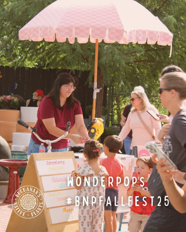 We are so excited about this year's Fall Fest vendors! Here's a peek at some of the vendors!>>>👀
