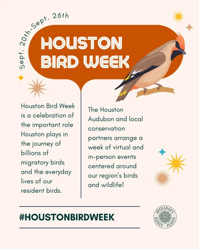 It's Houston Bird Week!🐦

Houston Bird Week is a celebration of the important role Houston plays in the journey of billions of migratory birds and the everyday lives of our resident birds.

Swipe left to learn more about fall birding and commonly found birds in HTX!