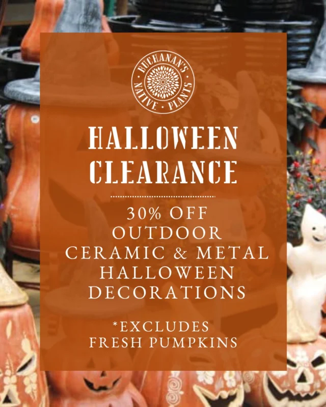 Shop our Halloween clearance and enjoy 30% off outdoor ceramic and metal Halloween decorations!🎃 Enjoy them this year or stock up for next year!