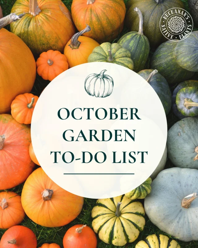 Wondering what to do in the garden during spooky season? Check out our October garden to-do list!🎃