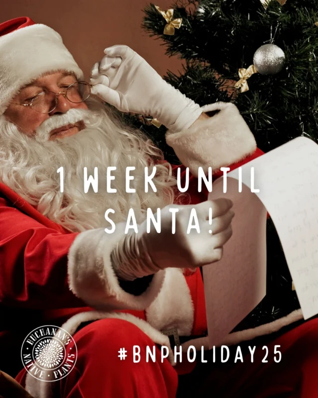 ONE MORE WEEK UNTIL SANTA!🎅