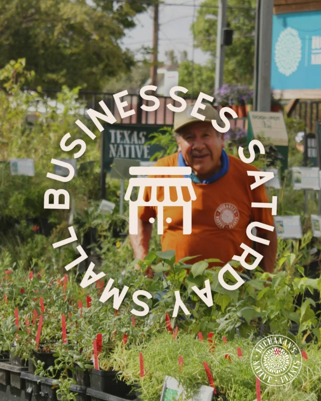 Shop Small this Saturday!💚

 #SupportSmallBusiness #SupportLocal #ShopLocal #SmallBusinessSaturday #CommunityLove #LocalShops #ShopSmall