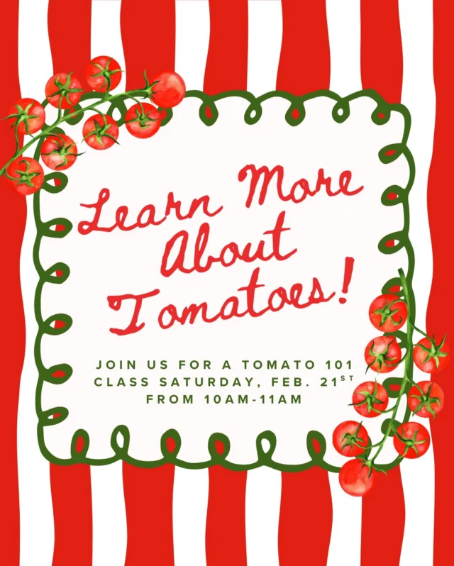 Wanting to learn more about growing tomatoes?🍅

Join us Saturday, February 21st, 10am-11am for a Tomato 101 class! 

Swipe to view what varieties were carrying this spring!