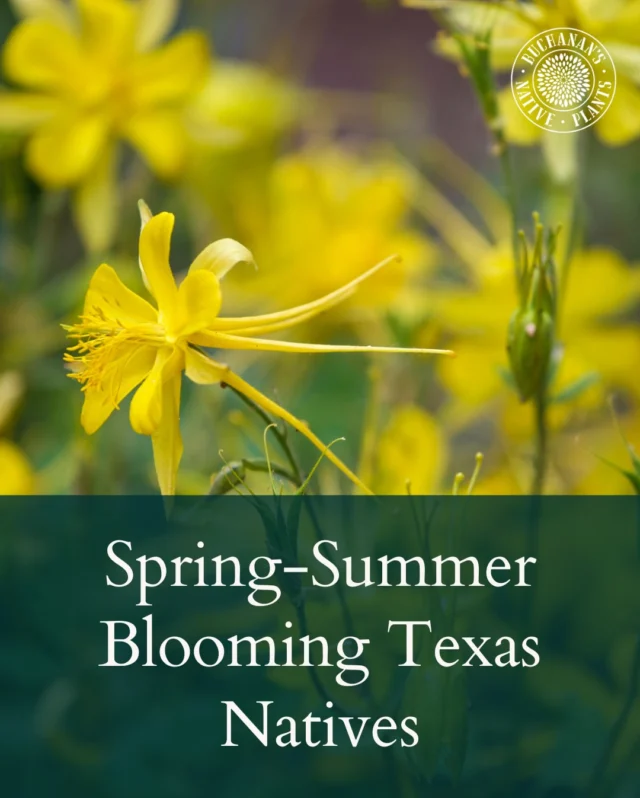 You’re going to want to save this!☝️👀