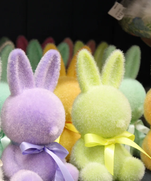 50% Off Easter Decor!🐣🐇

Make your table and home pop this Easter weekend!

Holiday Hours👇
Open Fri and Sat: 9a-6p
Open Easter Sunday: 10a-3p