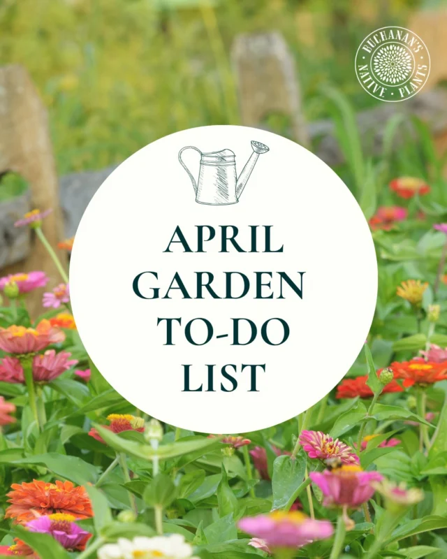 New Month, New To-Do List!📋 ☔️🌈