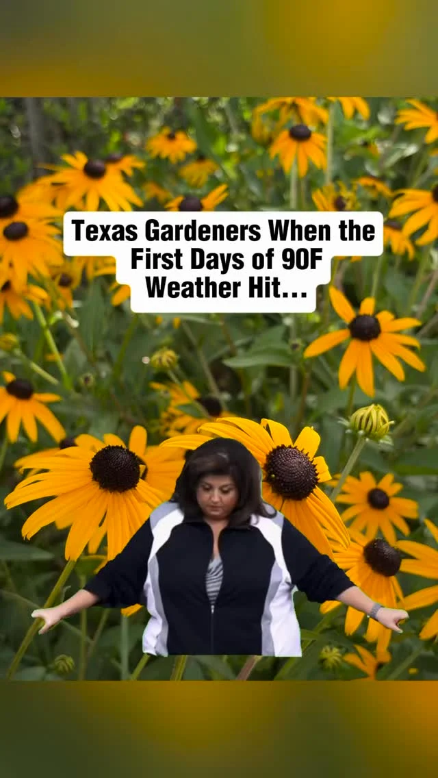 Who else was not ready to go from 68F to 90F?🫠