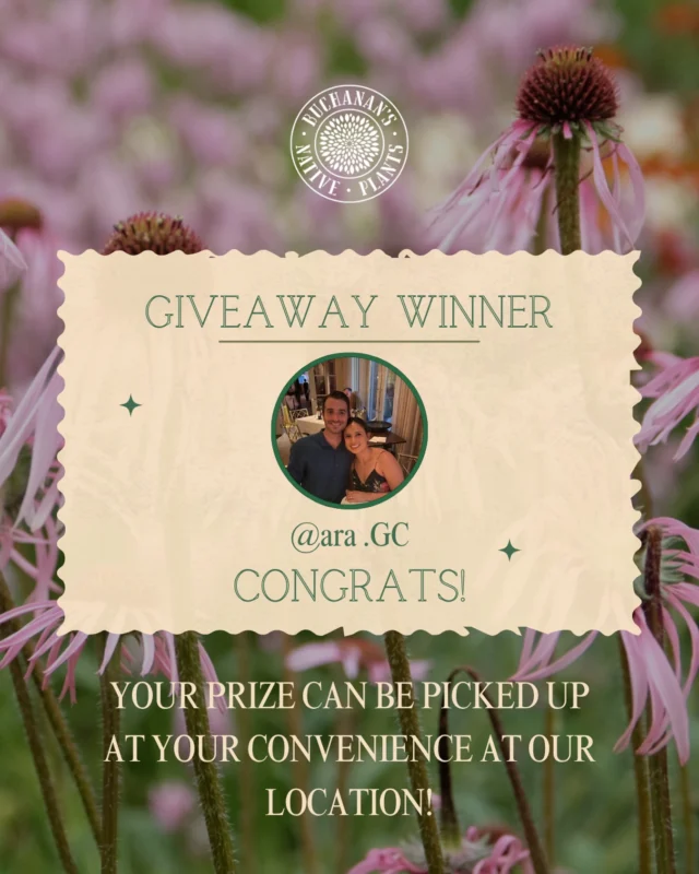 And the winner is…… @ara_gc !!!🏅✨

Congratulations on winning our June 40th Anniversary giveaway!!!🚨