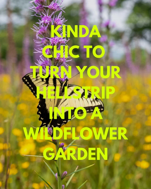 Kinda Chic to Love Gardening.✨💅