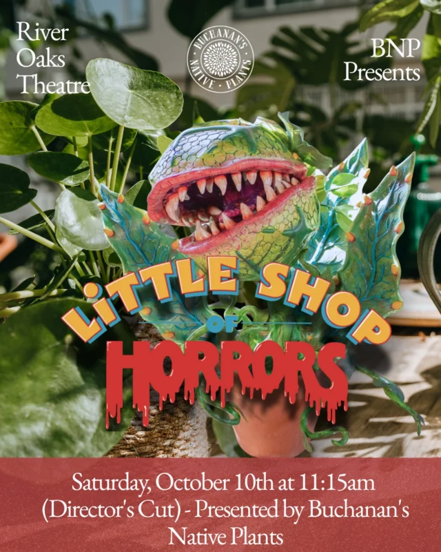 We’re traveling back to 1986! ✨⏳

We’re not the only ones turning 40 this year! It is also the 40th Anniversary for the Little Shop of Horrors film!🎞️ 

So naturally we had to collaborate with @theriveroakstheatre and celebrate with a directors cut screening of Little Shop of Horrors!

🎟️Tickets are available to purchase now on River Oaks Theatre website. LINK IN BIO