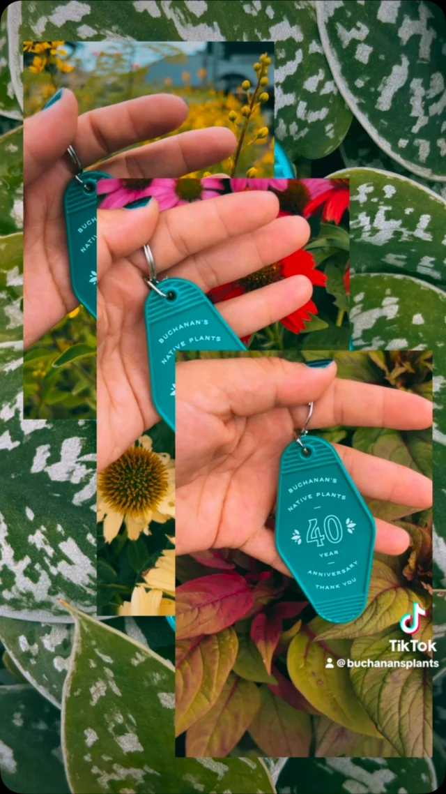 New 40th Anniversary Keychains! 🤩

👉Now available in the Bungalow!