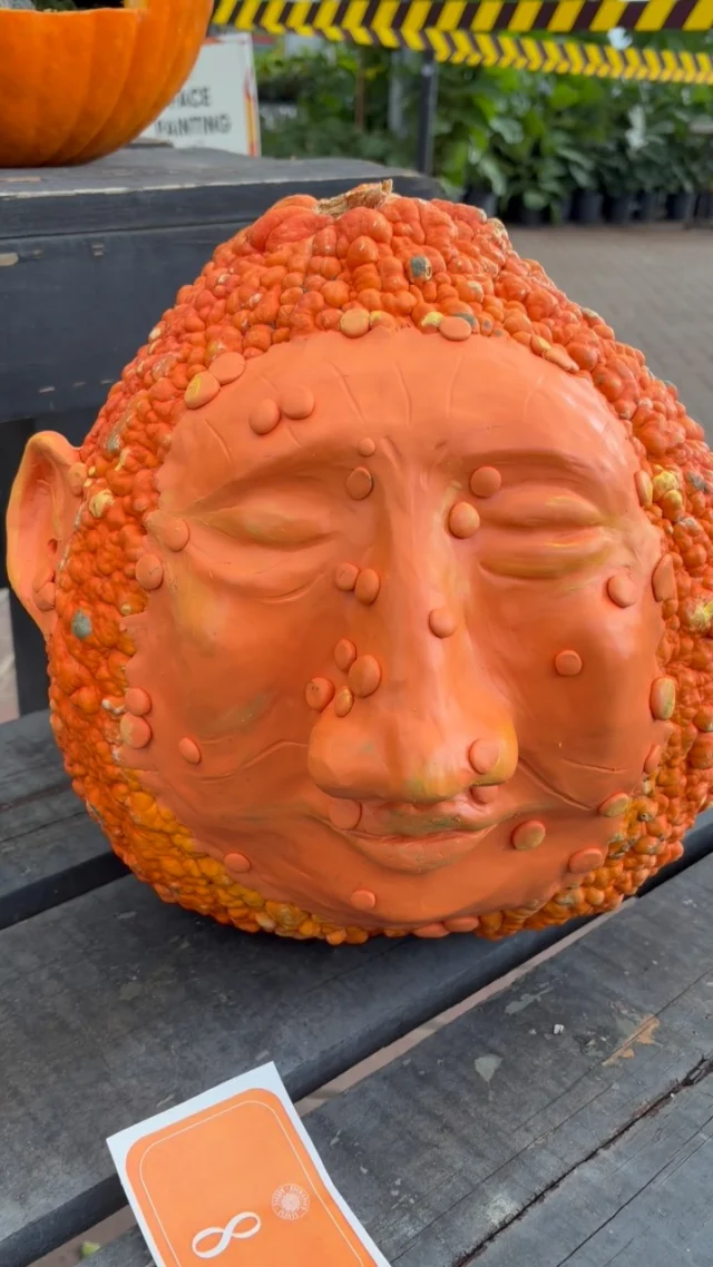 Don’t forget to cast your vote on your favorite employee pumpkin!!!🎃