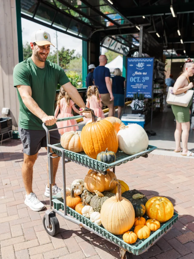 What your cart should look like!🍁🎃

October means it is PUMPKIN time! Decorate your porch, your fireplace or dining table with these beautiful pumpkins. Scoop out the seeds and toast them in the oven for a tasty snack or make a delicious pie or dessert! 🧁 

Happy October, we’ll see you in the pumpkin patch!