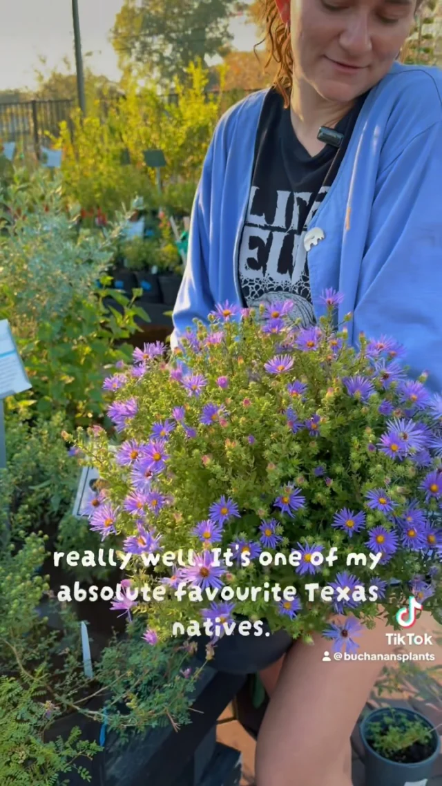 Let’s talk about one of Rachel’s favorite Texas natives!